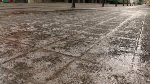 поледица лед София