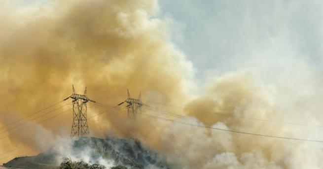 Токсичен облак дим от горските пожари бушуващи в източна Австралия