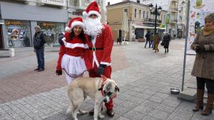 кучета осиновяване Пловдив