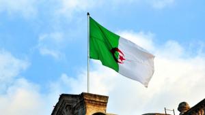 Алжирските власти са разбили международна мрежа, специализирана в трафика на