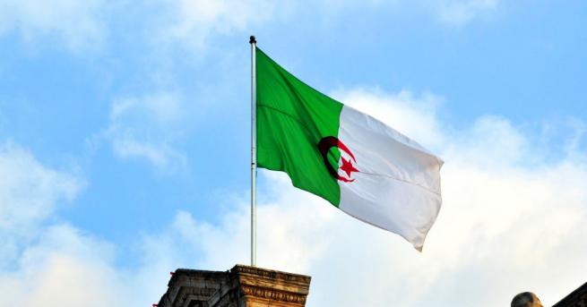 Алжир гласува за избор на президент Избирателните секции започнаха работа