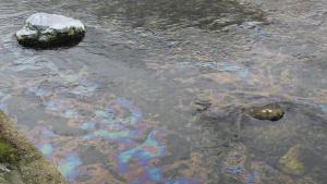 замърсяване на река Въча