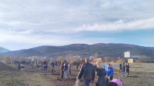 нов парк Асеновград