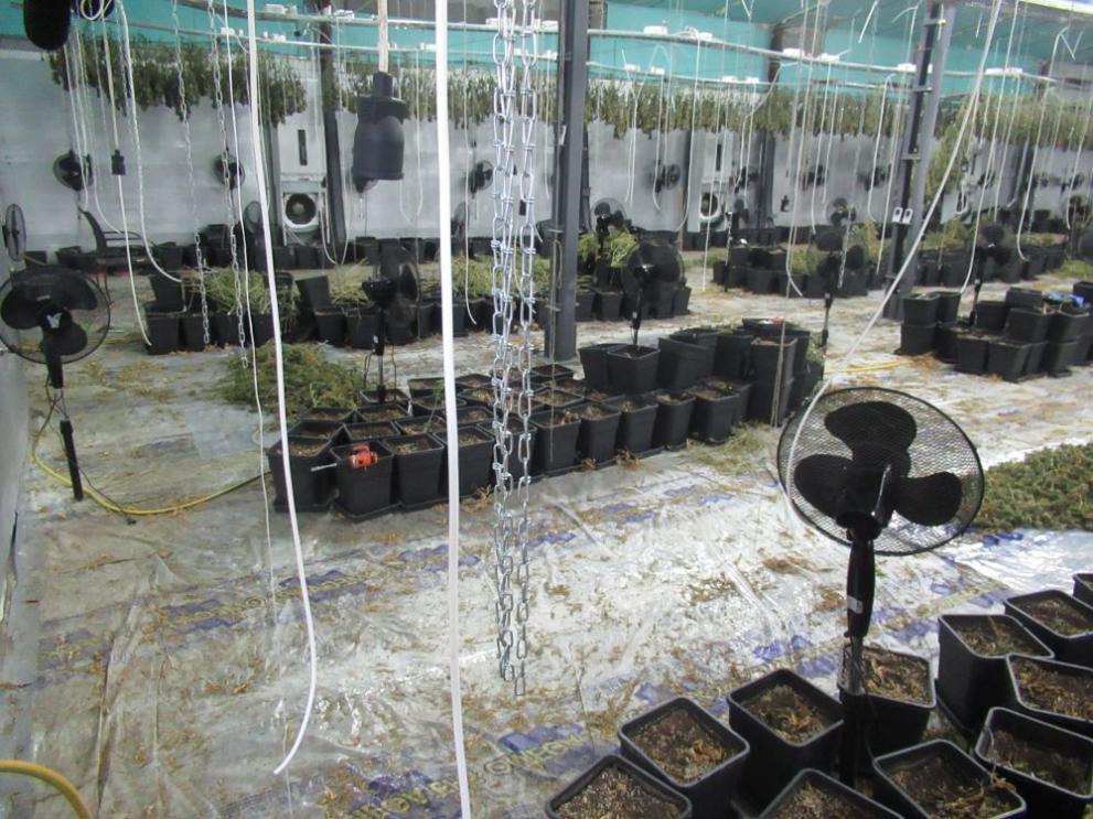 Резултат с изображение за Разкриха мащабна лаборатория за марихуана за повече от 1 млн. лв. в Русенско
