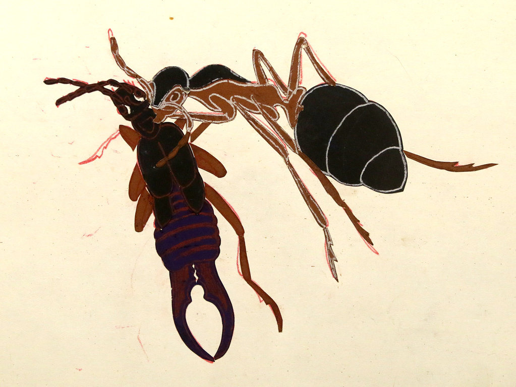 <p>В резултат на своите наблюдения, той създава серия рисунки и колажи, води си записки, в които прави сравнения между живота на мравките и живота на хората.</p>