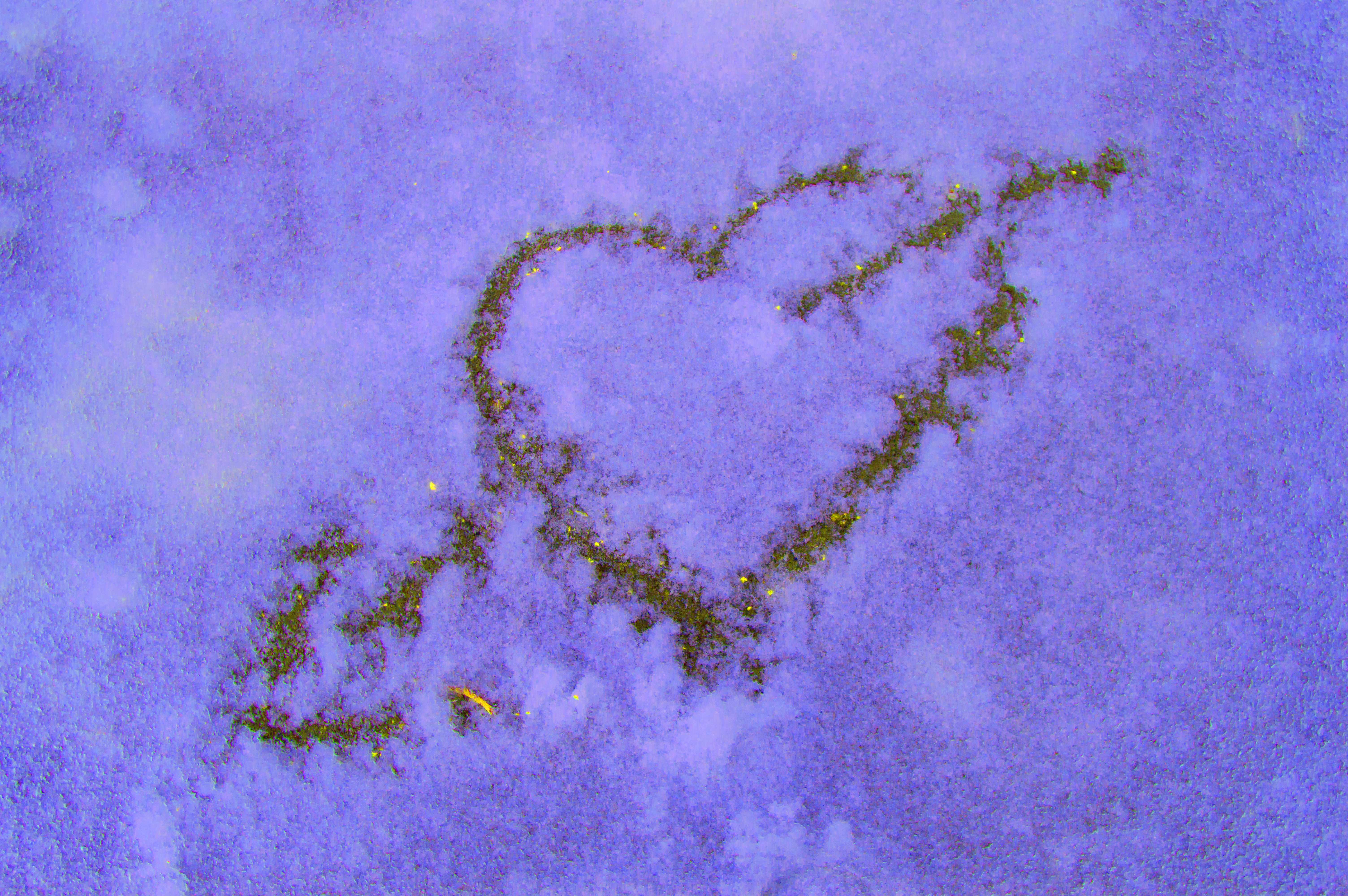 <p>Близнаци</p>

<p>Трябва да напълните бутилки спрей с боя за храна и да нарисувате истинско произведение на изкуството в снега!</p>