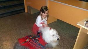 благотворителен базар детска клиника пловдив