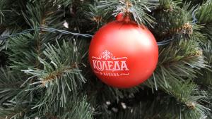 Коледа в Капана