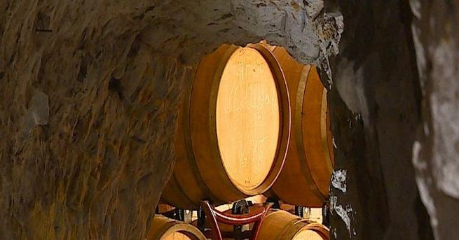  Виното по нашите земи е дар от траките още от