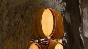 винопроизводство