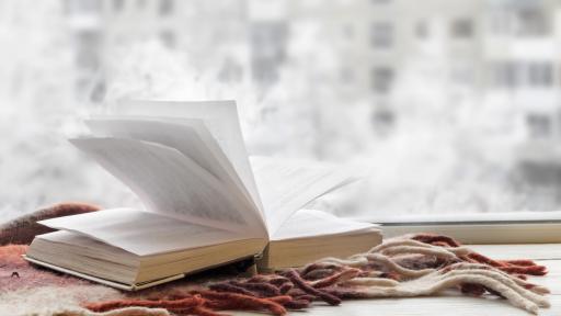  <p><strong>Книгите</strong>, които да прочетем през <strong>януари</strong></p> 