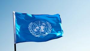 Всичките 193 държави членки на Общото събрание на ООН по
