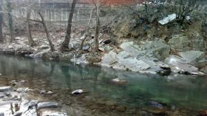 река Чепеларска замърсяване