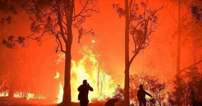 24 души загинаха в горските пожари в Австралия от септември
