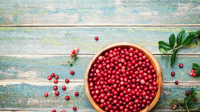 Изследване: Червените боровинки намаляват хроничните инфекции на пикочните пътища