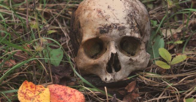 Проучвайки черепите на древни жители на Карибските острови, учените установили,