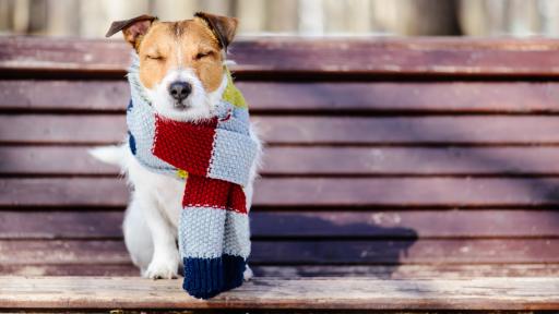  <p>Топло и в петък, <strong>рязка смяна на времето</strong> през уикенда</p> 