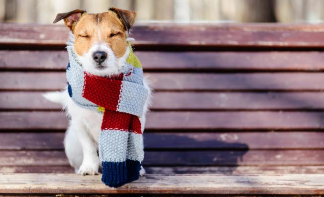 След снеговалежите: Обрат във времето днес