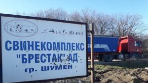 свинеферма село Брестак Варна