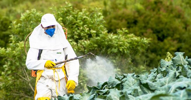 Европейската комисия ЕК не поднови разрешението за пестицид свързан с