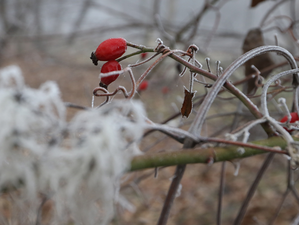 Мъгла и опасен въздух в София и днес