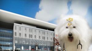 кучето Мон Детска клиника УМБАЛ Свети Георги Пловдив