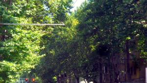 булевард Цар Борис Трети Обединител Пловдив