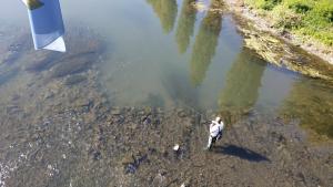 река Марица Пловдив рибари мост до панаира