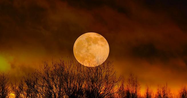 Гравитационното привличане между Земята и Луната не влияе само на