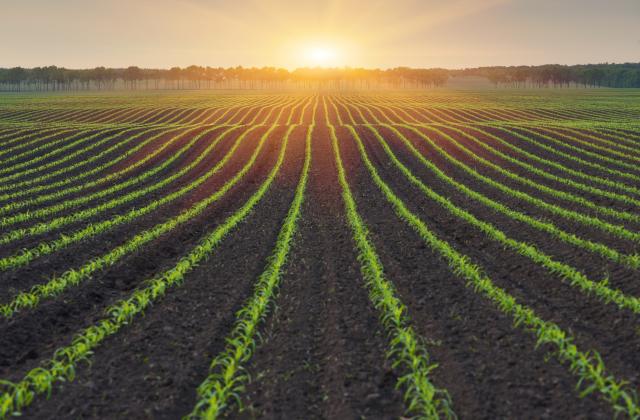 Европейската комисия одобри българска схема от 16 млн. лева в