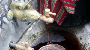 вино от чешма Асеновград