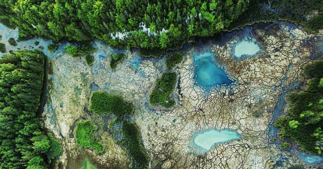 Всяка година на 2 февруари се отбелязва Световният ден на