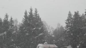 копривки сняг