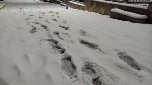 Сняг Шумен 2020