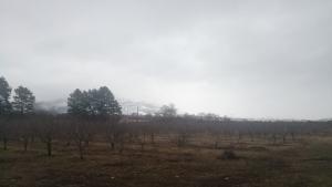 Кюстендил