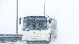 автобус сняг път зима
