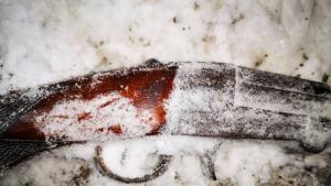 незаконна пушка Розино Карлово