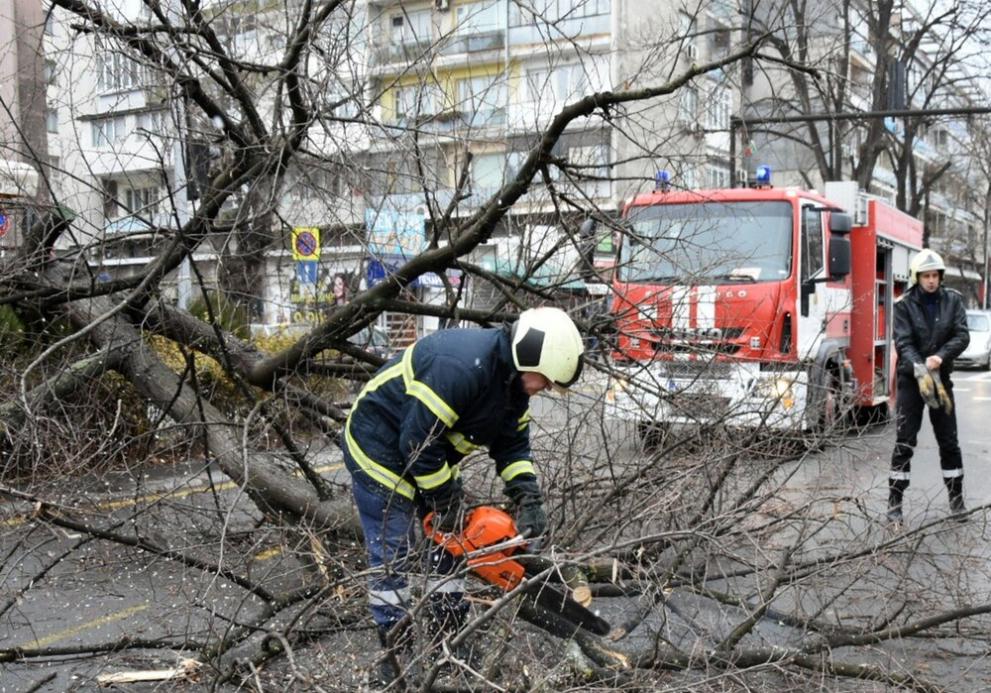 Екипи разчистват паднали дървета и клони във Варна