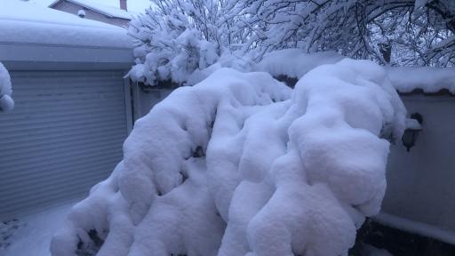  <p>Как&nbsp;<strong>десетки села</strong> в Ловешко остават&nbsp;<strong>без ток</strong> трето денонощие</p> 