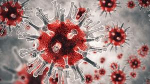 вируси болест