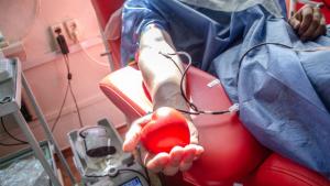 Министерството на здравеопазването на Румъния организира кръводарителска акция за пострадалите от земетресението