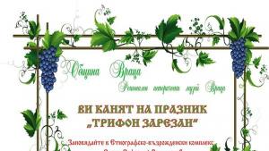 Враца Трифон зарезан програма
