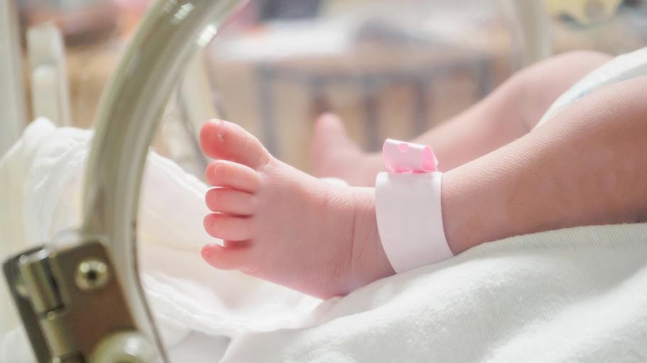 Преждевременно раждане: кога, защо и какво се случва с недоносените бебета?