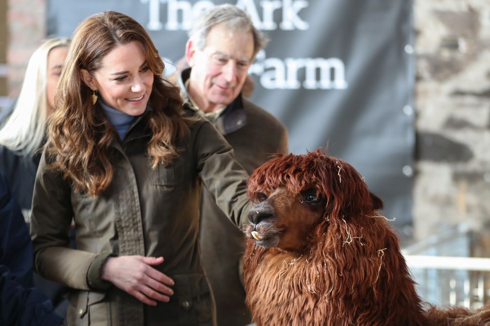 Херцогиня Кейт посети ферма и се забавлява с деца и животни