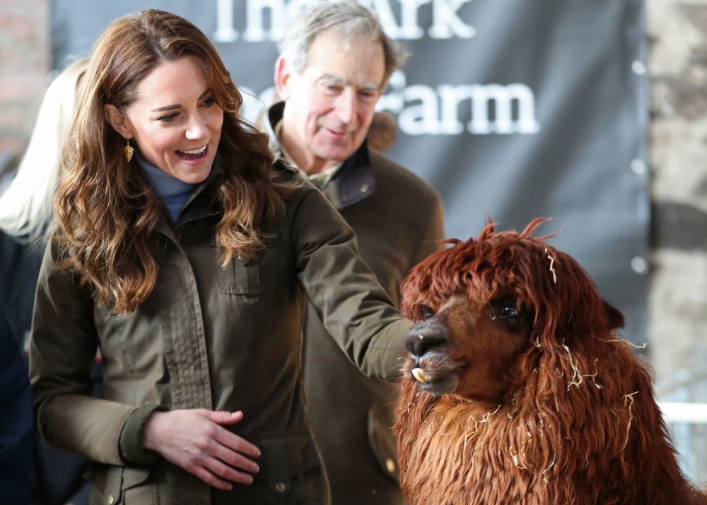 Херцогиня Кейт посети ферма и се забавлява с деца и животни