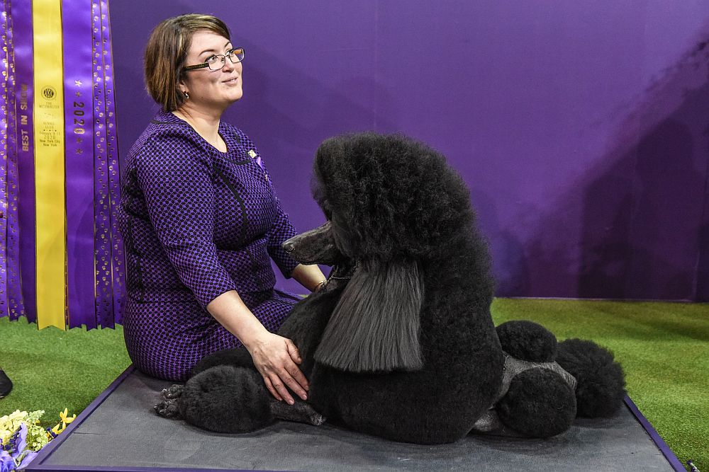 Уестминстър кенъл клъб дог шоу