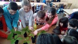 Габрово ученици горичка