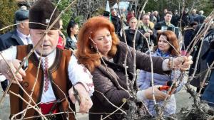 Илияна Йотова