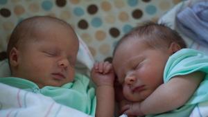 бебета Пловдив