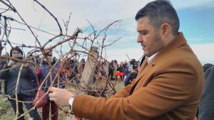 Трифон Зарезан в Брестовица